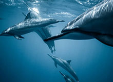 glow-kaiyun.com-学训矛盾如何破解（小贴士）